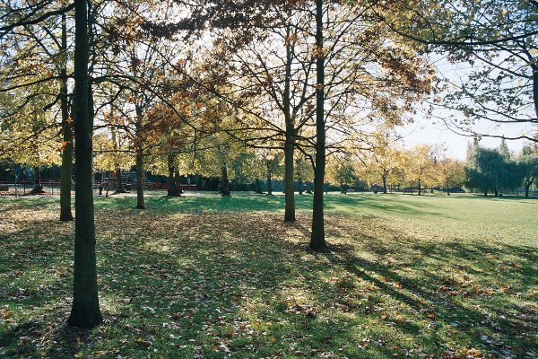 the lower lawns in autumn