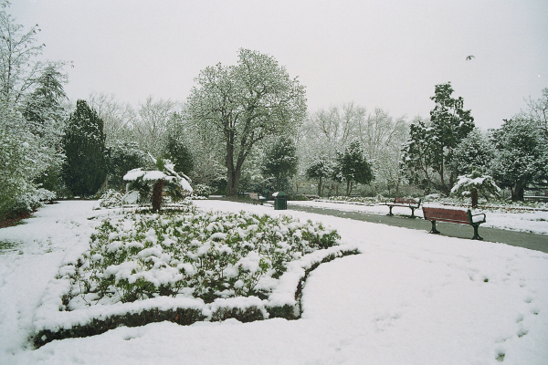 Italian Garens Winter 2010
