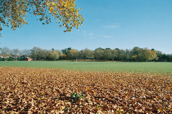 The Recreation Ground in Autumn