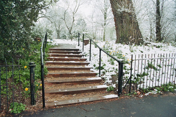 steps in winter 2010