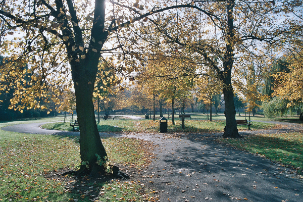 The Circle in autumn